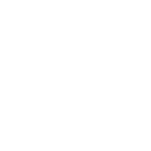 Alegre Ballet Folklórico